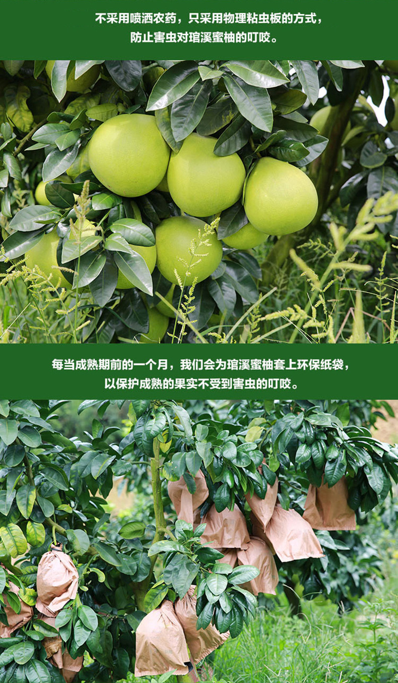 白黄专用_03_06.jpg
