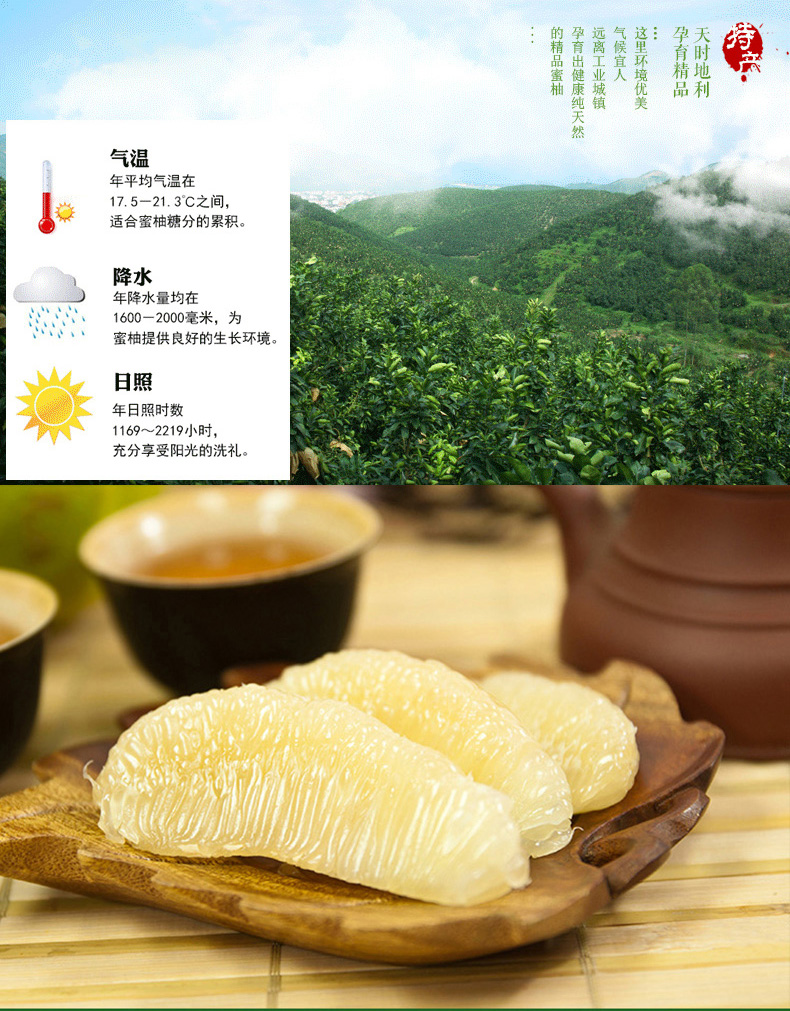 白黄专用_03_02.jpg