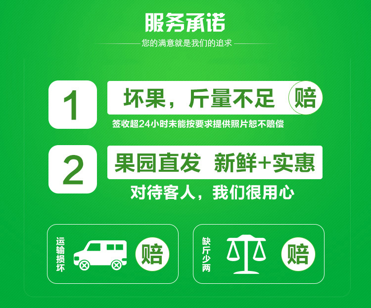 牛奶青枣_09.jpg