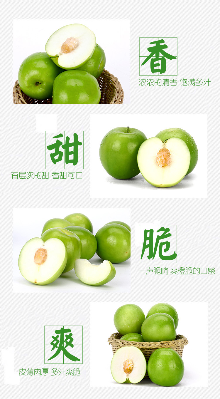 牛奶青枣_06.jpg