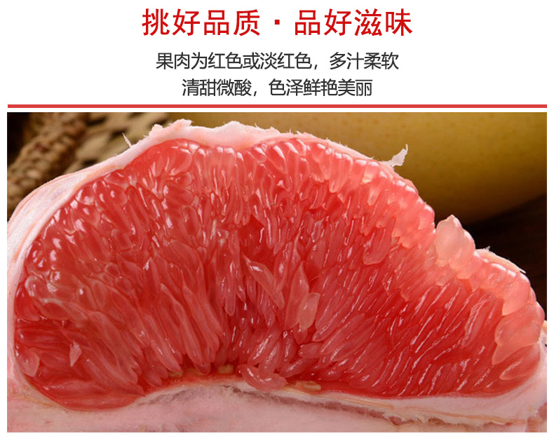 三红柚子_07.jpg