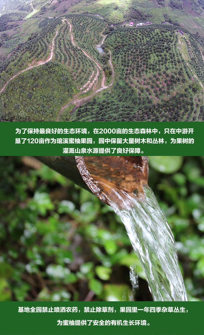 白黄专用_03_04.jpg