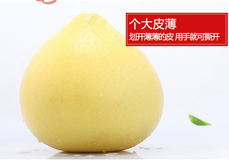 三红柚子_11.jpg