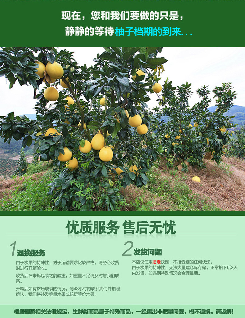 白黄专用_03_07.jpg