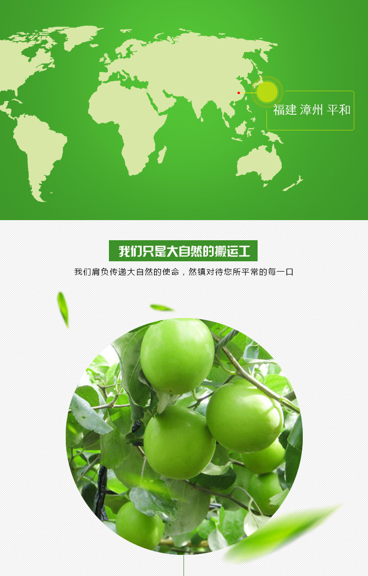 牛奶青枣_03.jpg