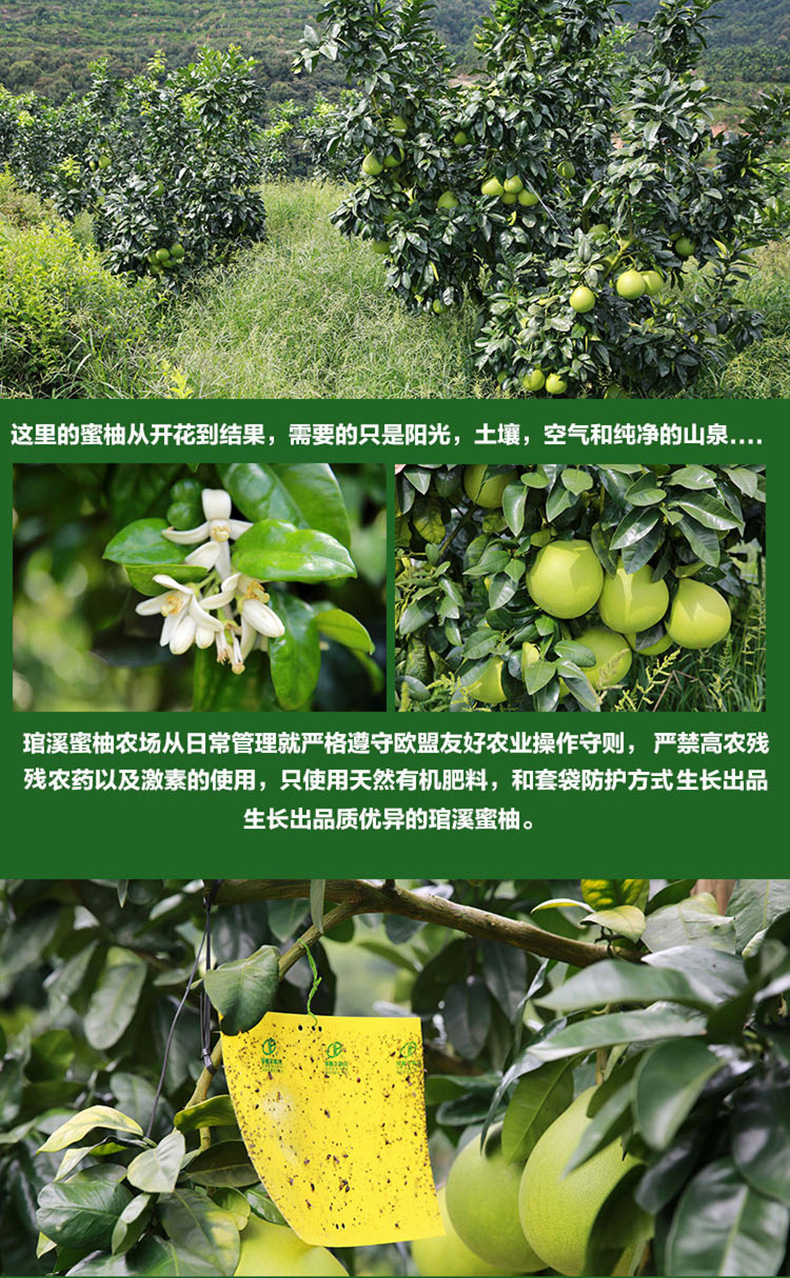 白黄专用_03_05.jpg
